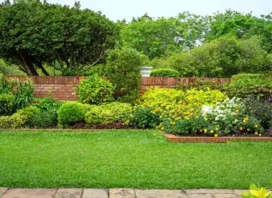 landscaping services Saxapahaw